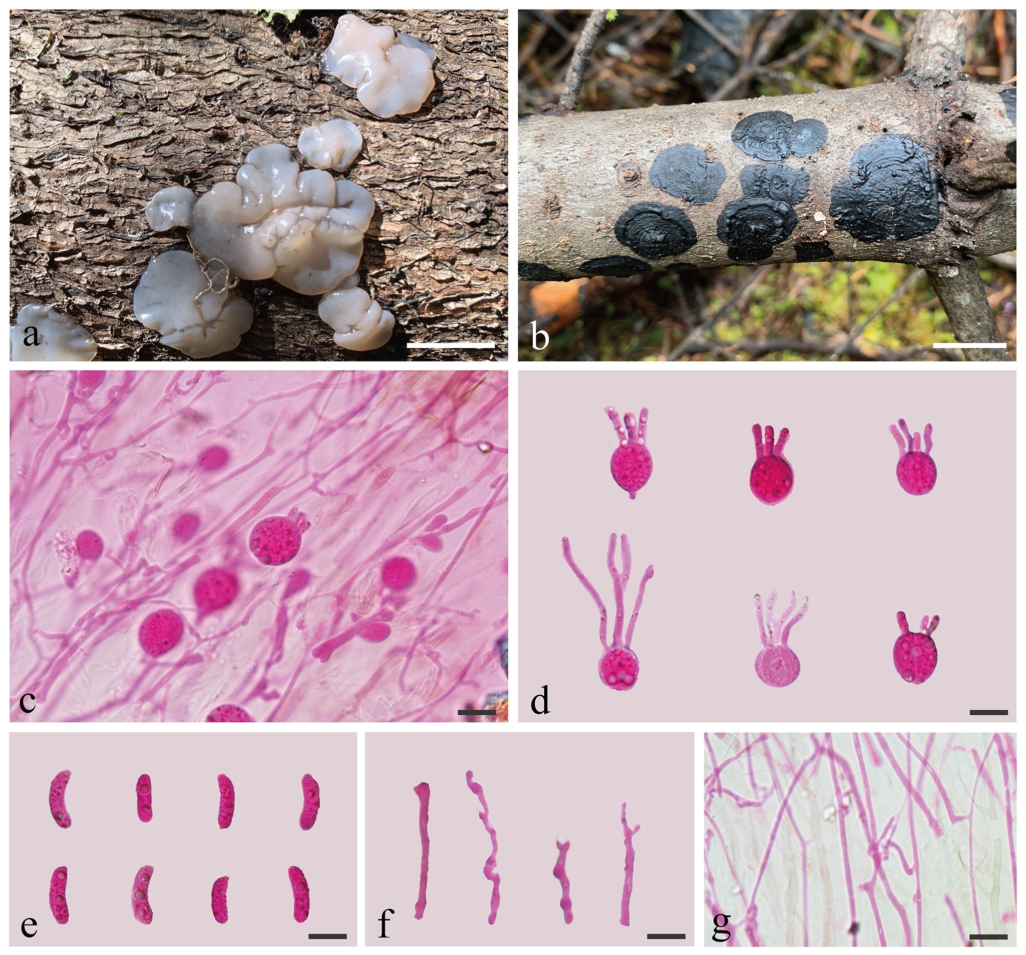 Figure 16